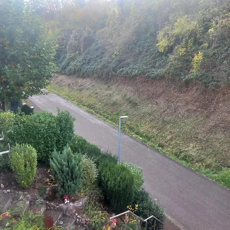 Kiko * Amoltern