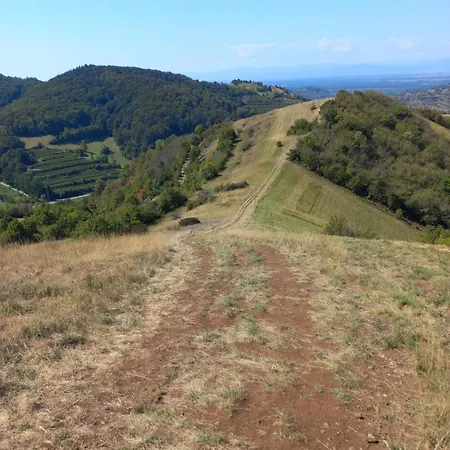 Apartment Kiko Amoltern