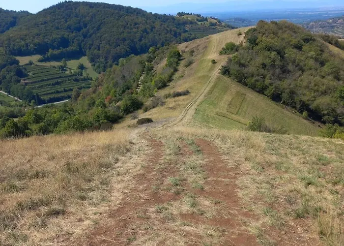 アパート Kiko Amoltern